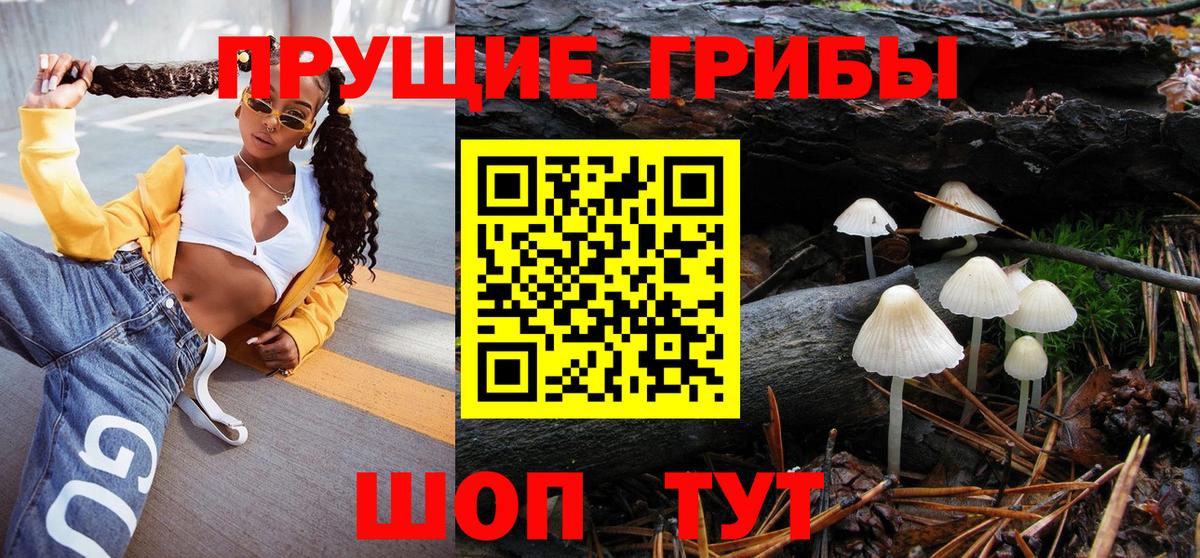 Сургут  дарнет шоп  Вход с VPN  Галлюциногенные грибы прущие грибы  Псилоцибиновые грибы Psilocybine cubensis 